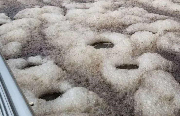 養豬場污水泡沫